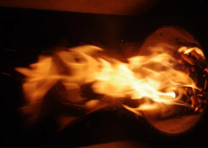 Chalet Almchalet Alpenflora Werfenweng